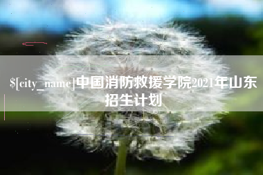 天门中国消防救援学院2021年山东招生计划