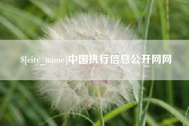 天门中国执行信息公开网网