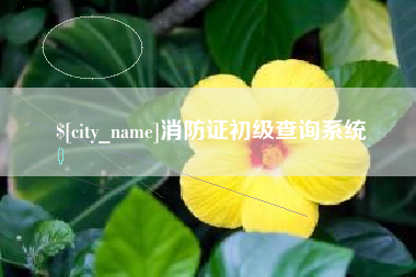 天门消防证初级查询系统