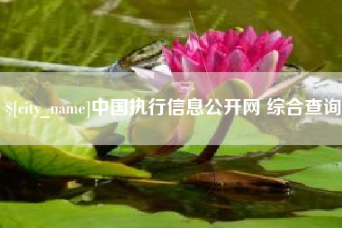 天门中国执行信息公开网 综合查询