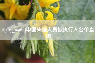 天门中国失信人员被执行人名单查询