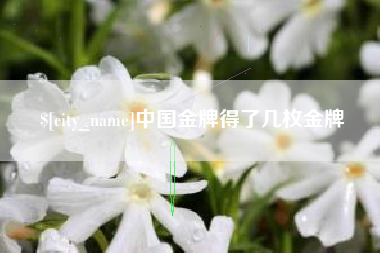 天门中国金牌得了几枚金牌