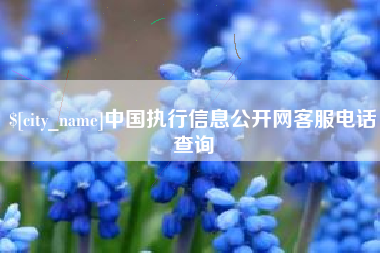 天门中国执行信息公开网客服电话查询