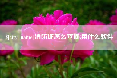 天门消防证怎么查询,用什么软件