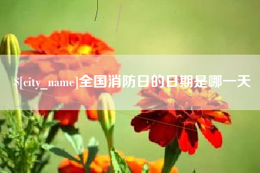 天门全国消防日的日期是哪一天