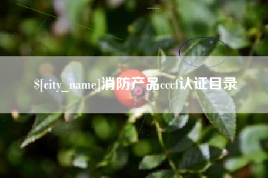 天门消防产品cccf认证目录
