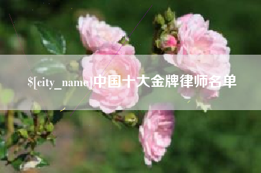 天门中国十大金牌律师名单