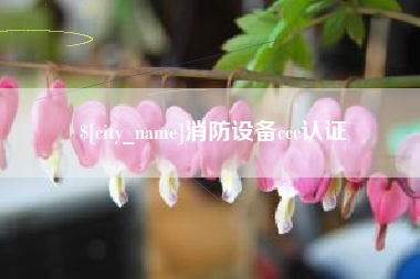 天门消防设备ccc认证