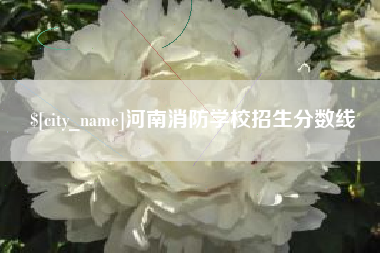 天门河南消防学校招生分数线