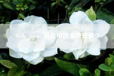 天门现在中国金牌是多少