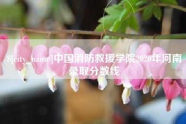 天门中国消防救援学院2020年河南录取分数线