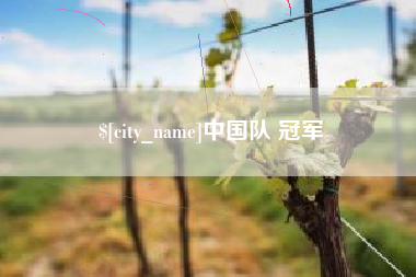 天门中国队 冠军