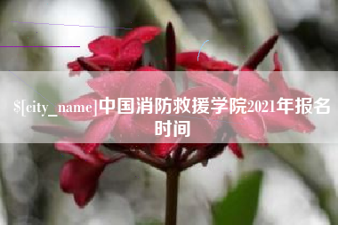 天门中国消防救援学院2021年报名时间
