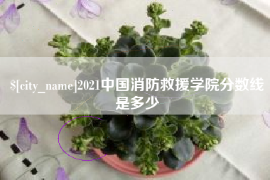 天门2021中国消防救援学院分数线是多少
