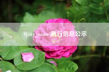 天门执行信息公示