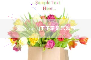 天门王子豪是怎么写