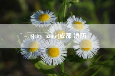 天门成都 消防