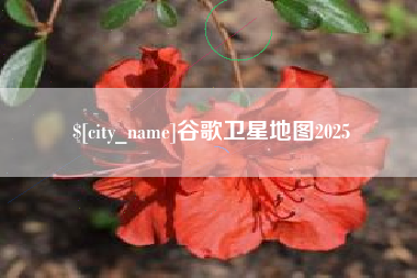 天门谷歌卫星地图2025