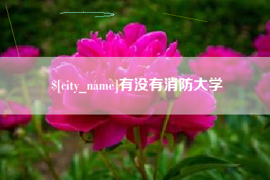 天门有没有消防大学