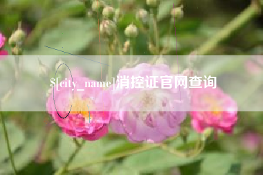 天门消控证官网查询