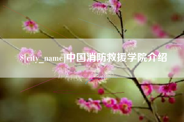 天门中国消防救援学院介绍