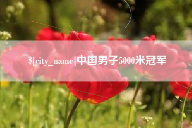 天门中国男子5000米冠军