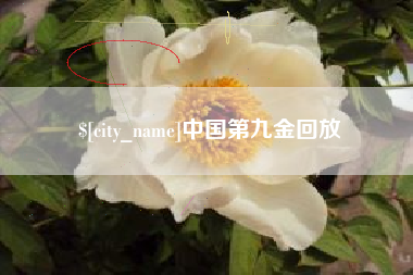 天门中国第九金回放