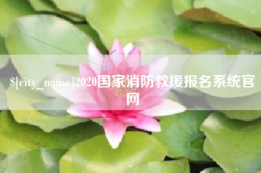 天门2020国家消防救援报名系统官网
