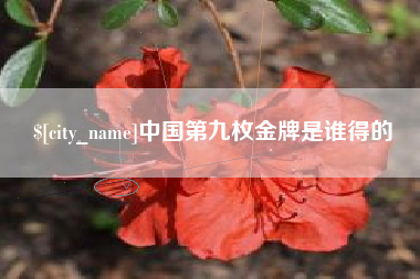 天门中国第九枚金牌是谁得的