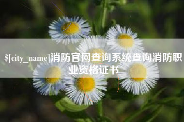 天门消防官网查询系统查询消防职业资格证书