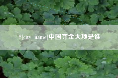 天门中国夺金大项是谁