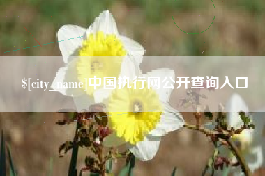 天门中国执行网公开查询入口