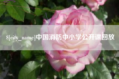 天门中国消防中小学公开课回放