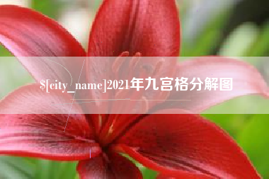 天门2021年九宫格分解图