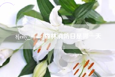天门森林消防日是哪一天