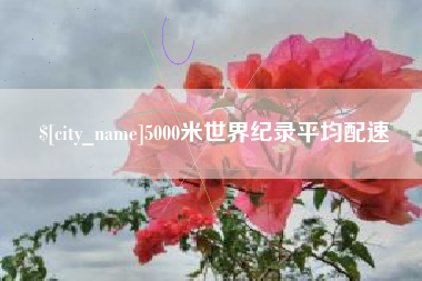 天门5000米世界纪录平均配速