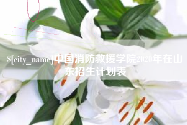 天门中国消防救援学院2020年在山东招生计划表