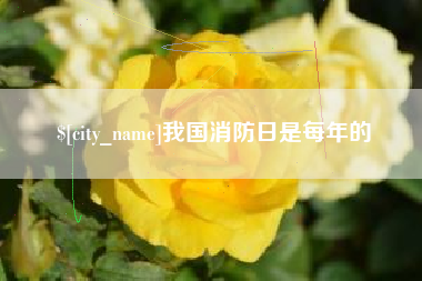 天门我国消防日是每年的