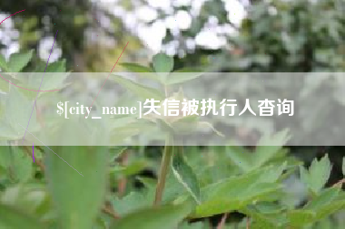 天门失信被执行人杳询