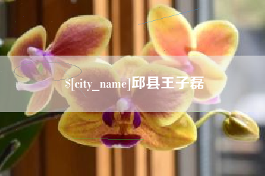 天门邱县王子磊