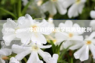 天门中国消防救援学院男女比例