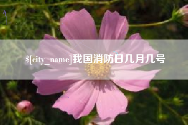 天门我国消防日几月几号