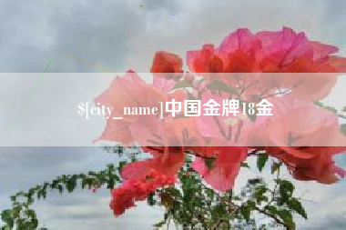 天门中国金牌18金