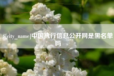 天门中国执行信息公开网是黑名单吗