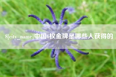 天门中国6枚金牌是哪些人获得的