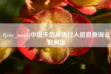 天门中国失信被执行人信息查询公开网址