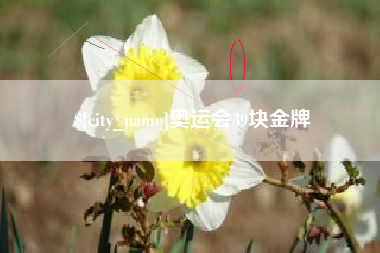 天门奥运会39块金牌