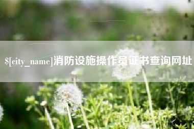 天门消防设施操作员证书查询网址