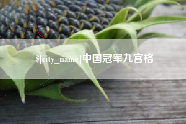 天门中国冠军九宫格