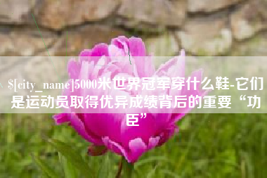 天门5000米世界冠军穿什么鞋-它们是运动员取得优异成绩背后的重要“功臣”